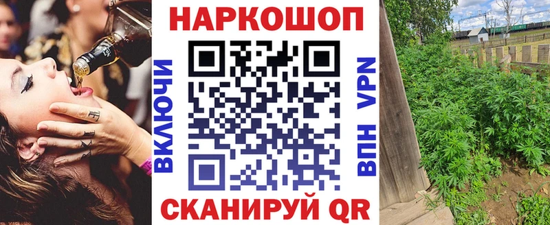 Где купить Ртищево COCAIN  Меф мяу мяу  ГАШИШ  Бошки Шишки 