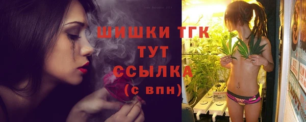 прущая мука Арсеньев